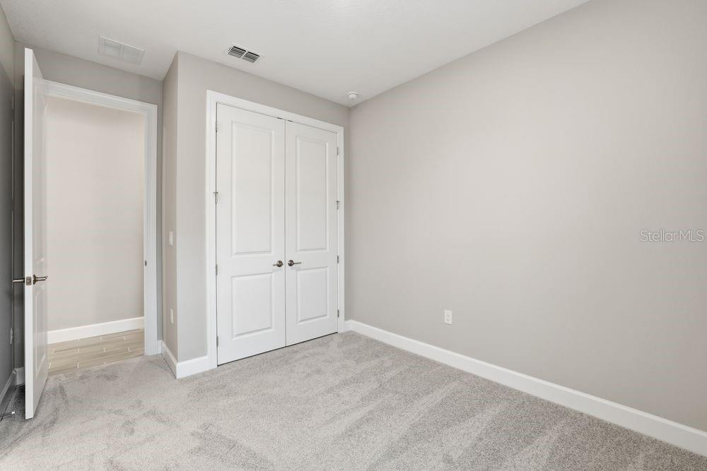 29536 ZUPETTA LN, WESLEY CHAPEL, FL, 33545