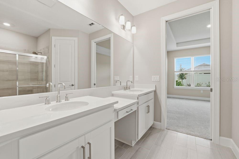 29536 ZUPETTA LN, WESLEY CHAPEL, FL, 33545