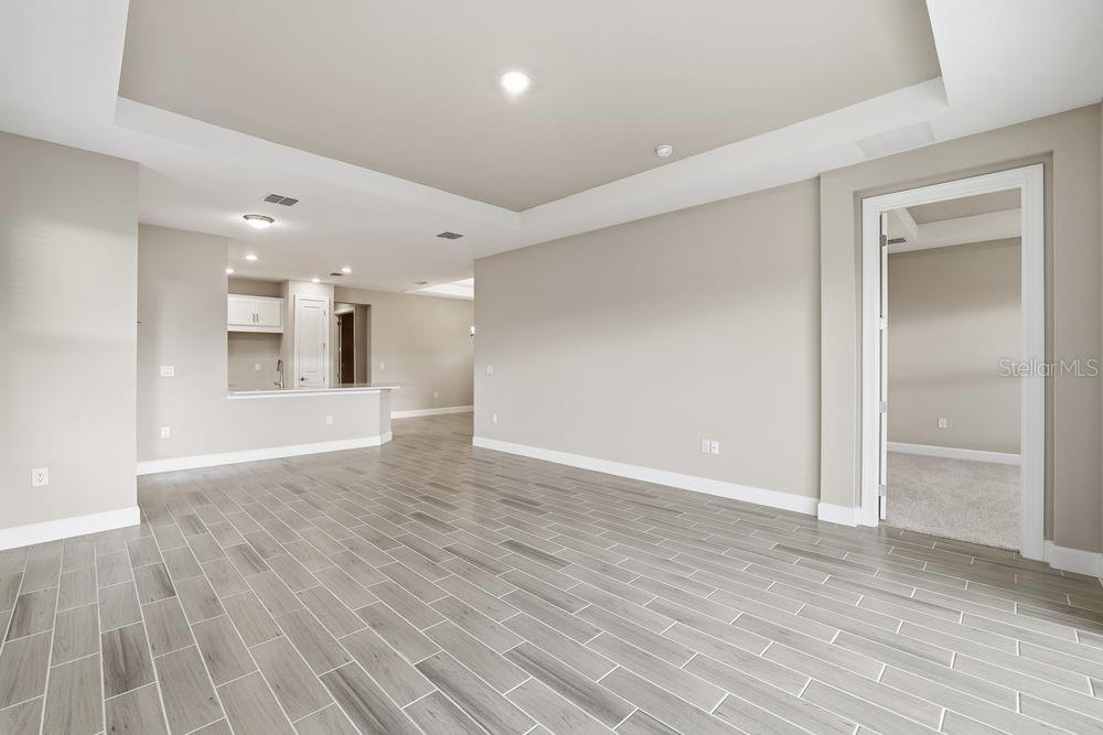 29536 ZUPETTA LN, WESLEY CHAPEL, FL, 33545