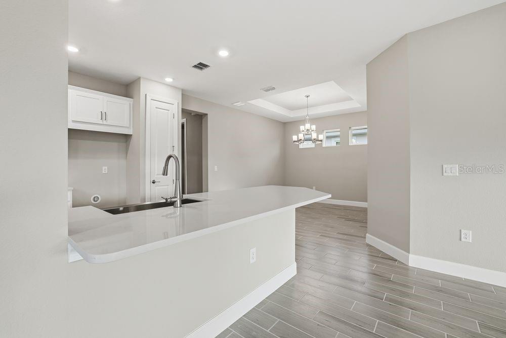 29536 ZUPETTA LN, WESLEY CHAPEL, FL, 33545