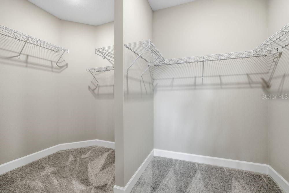 29536 ZUPETTA LN, WESLEY CHAPEL, FL, 33545