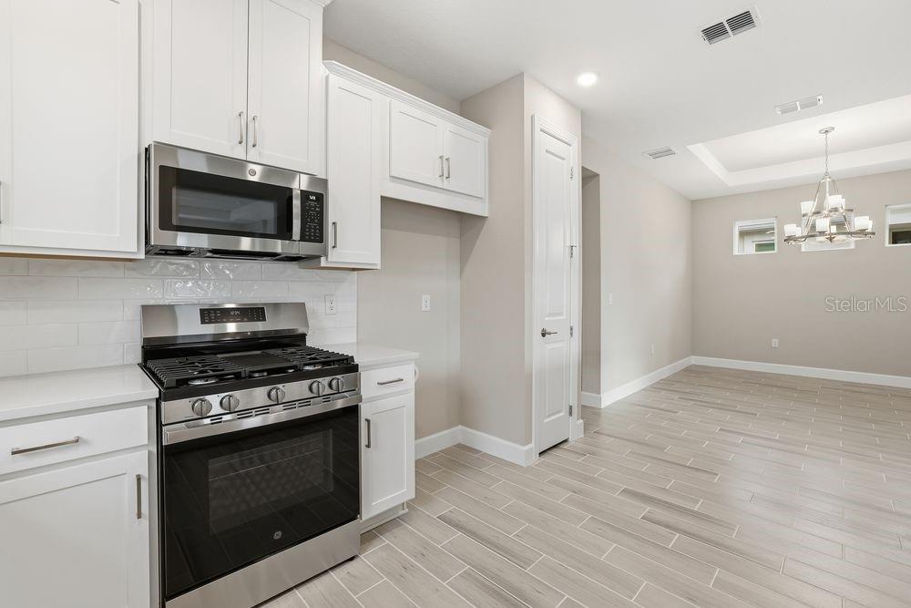 29536 ZUPETTA LN, WESLEY CHAPEL, FL, 33545