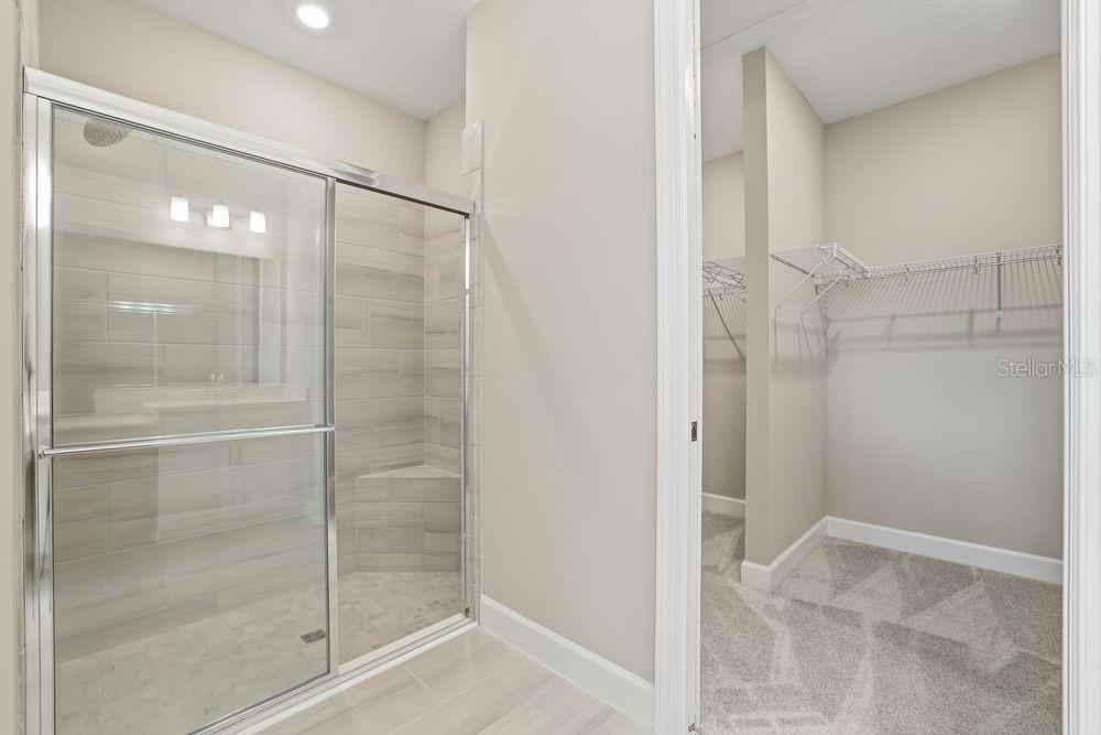 29536 ZUPETTA LN, WESLEY CHAPEL, FL, 33545