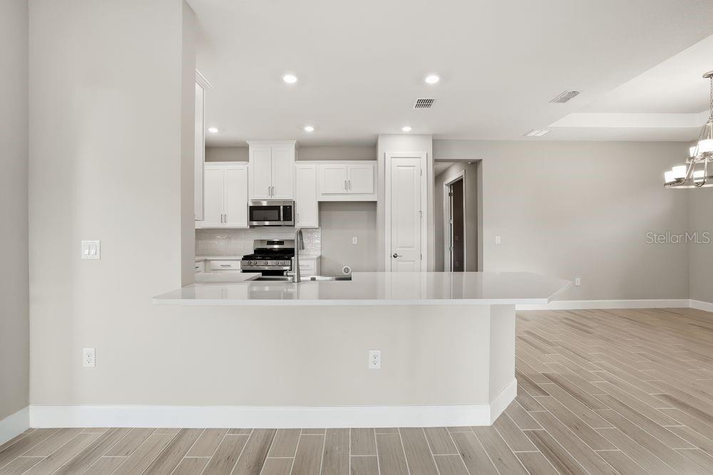 29536 ZUPETTA LN, WESLEY CHAPEL, FL, 33545