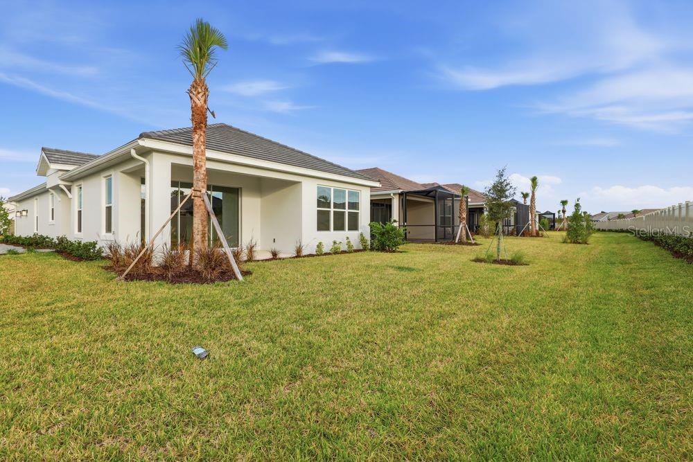 29536 ZUPETTA LN, WESLEY CHAPEL, FL, 33545