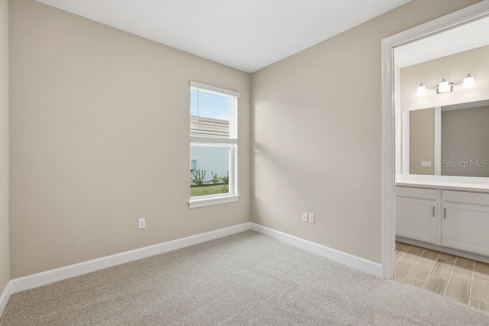 29536 ZUPETTA LN, WESLEY CHAPEL, FL, 33545