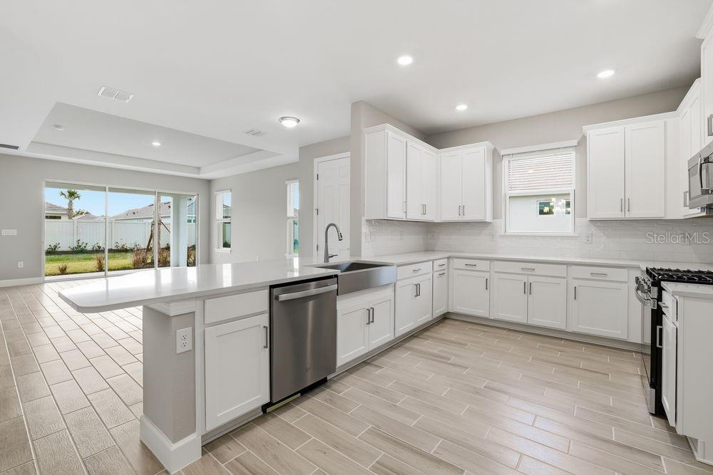 29536 ZUPETTA LN, WESLEY CHAPEL, FL, 33545