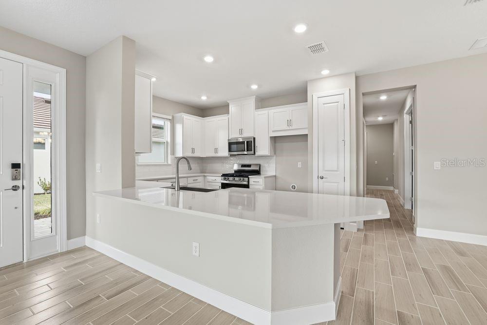 29536 ZUPETTA LN, WESLEY CHAPEL, FL, 33545