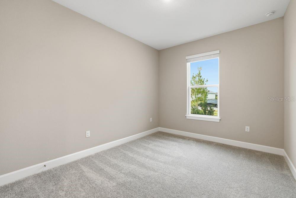 29536 ZUPETTA LN, WESLEY CHAPEL, FL, 33545