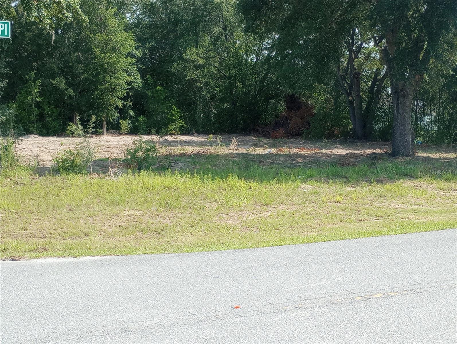 TBD SW 128TH PL, OCALA, FL, 34473