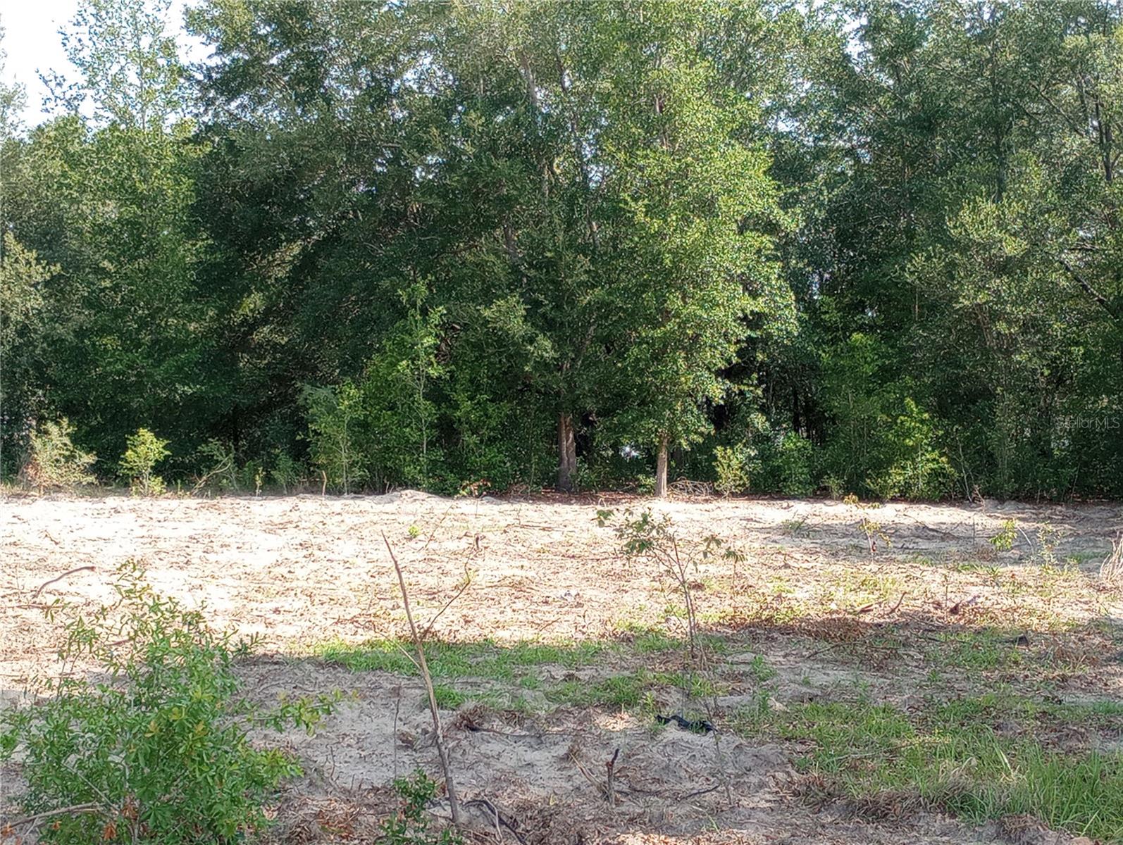 TBD SW 128TH PL, OCALA, FL, 34473