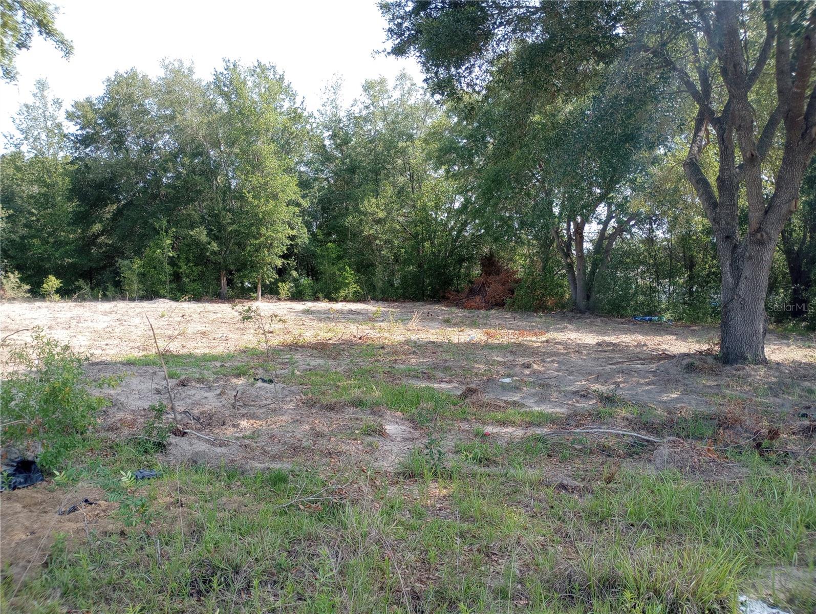 TBD SW 128TH PL, OCALA, FL, 34473