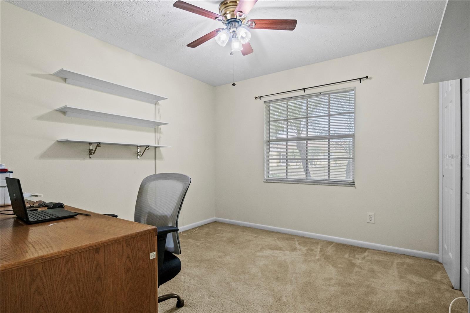 4027 TRUMAN DR, SEFFNER, FL, 33584