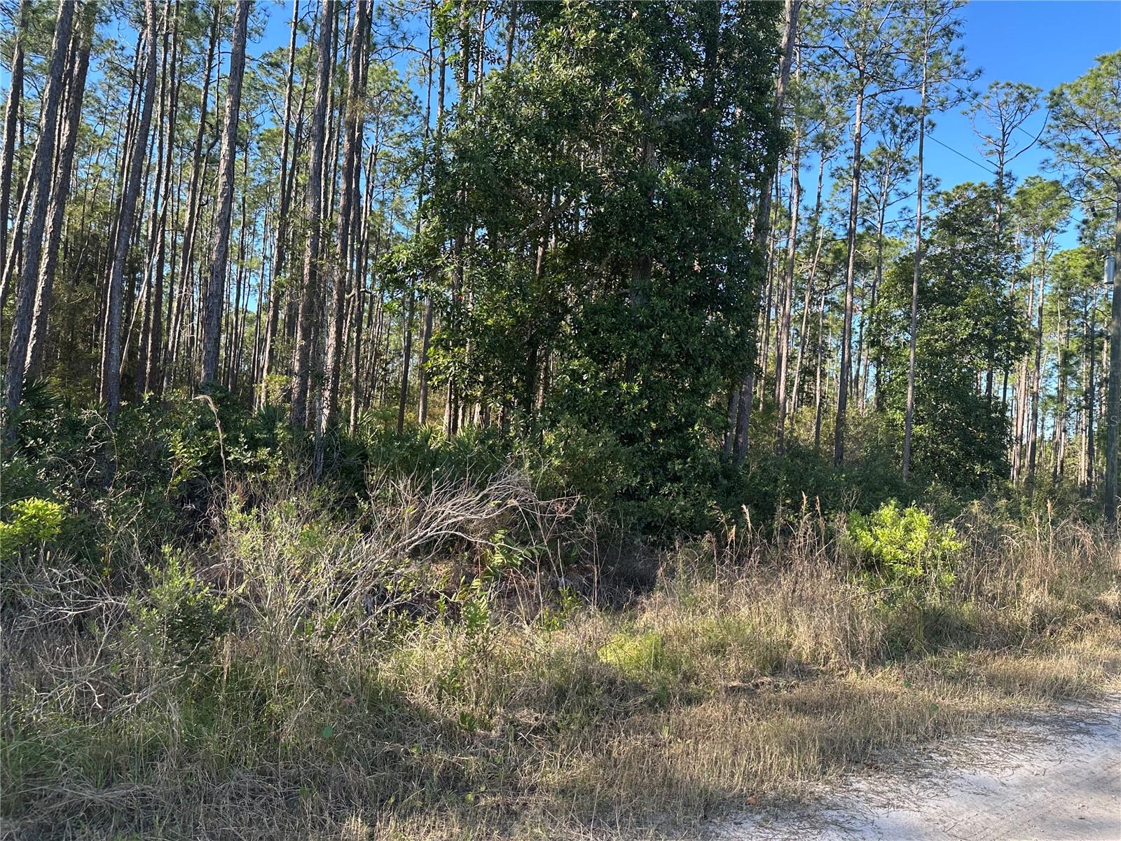 124 E ALACHUA ST, PALATKA, FL, 32177