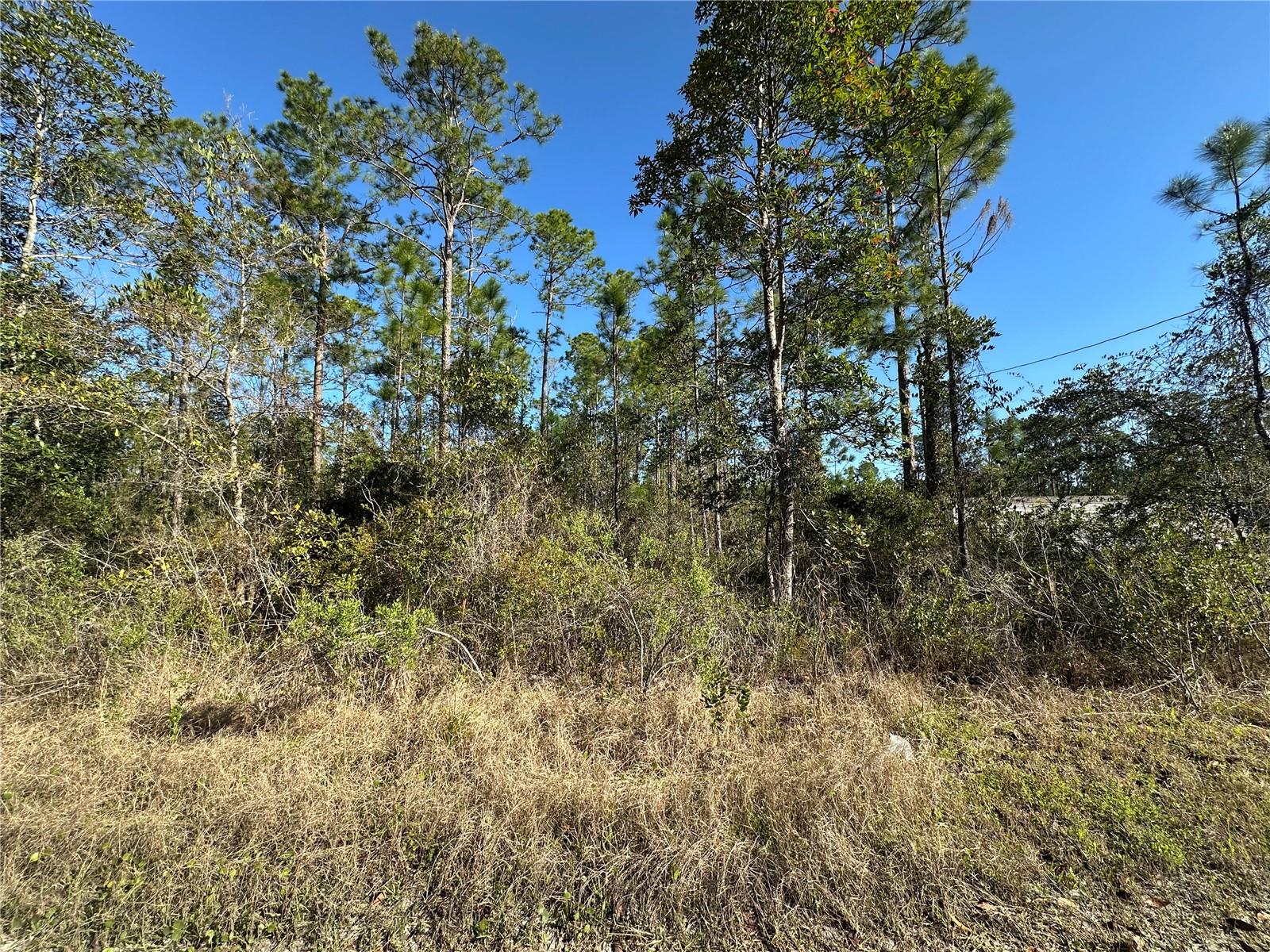 124 E ALACHUA ST, PALATKA, FL, 32177