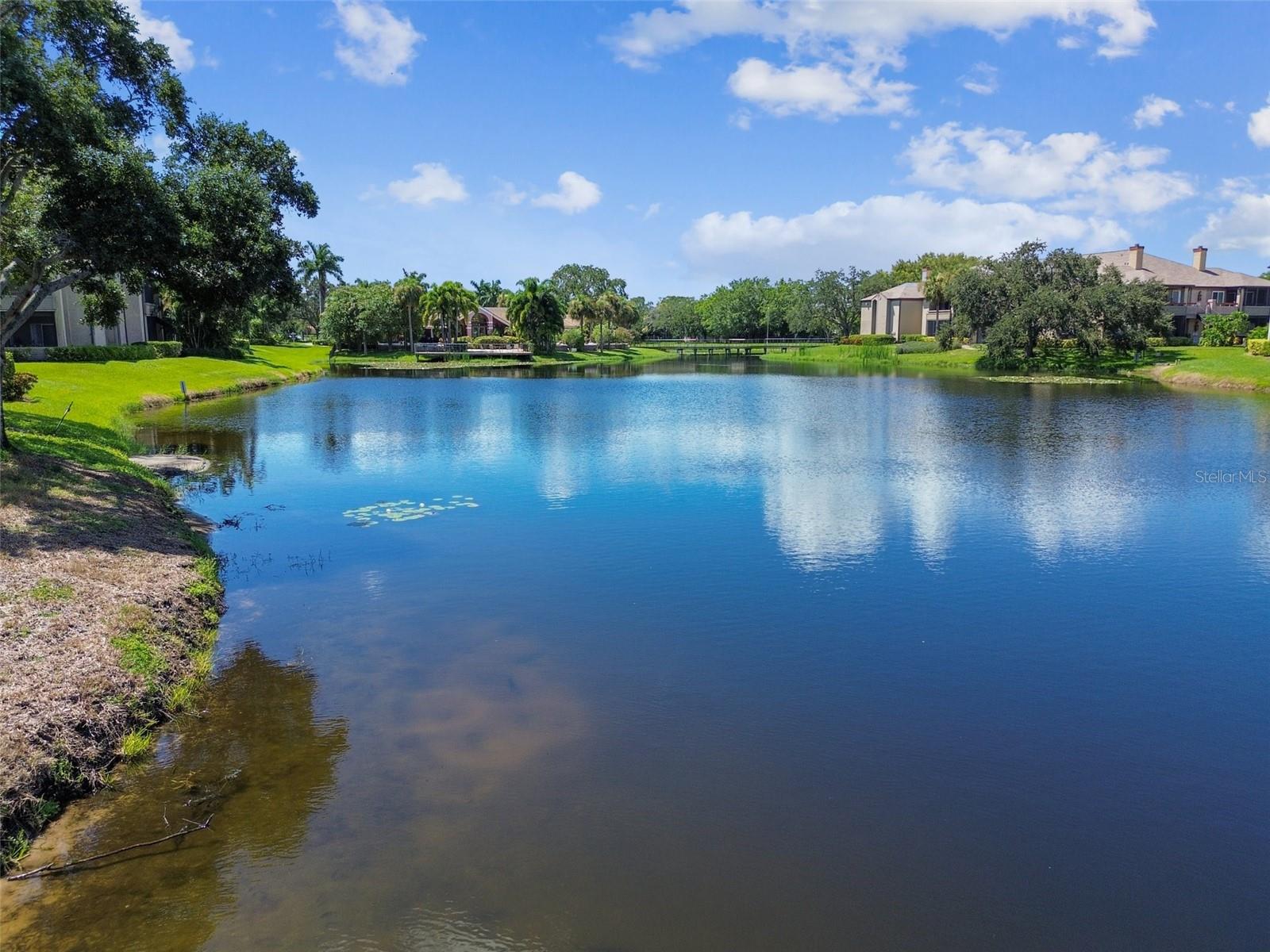 10265 GANDY BLVD N #1004, ST PETERSBURG, FL, 33702