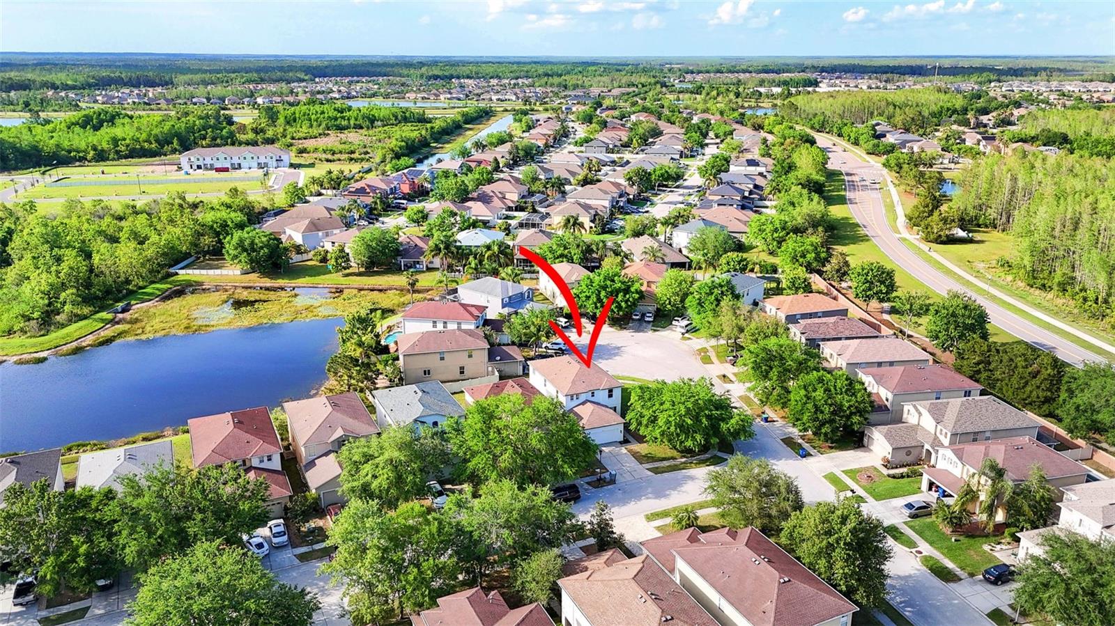 17545 BALMAHA DR, LAND O LAKES, FL, 34638