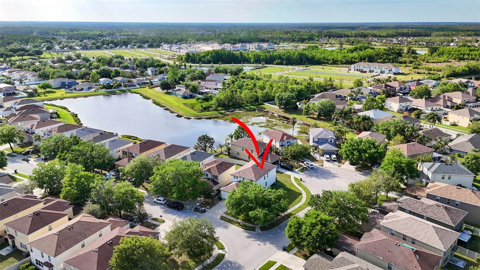 17545 BALMAHA DR, LAND O LAKES, FL, 34638