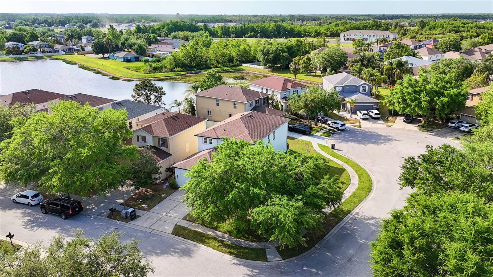 17545 BALMAHA DR, LAND O LAKES, FL, 34638