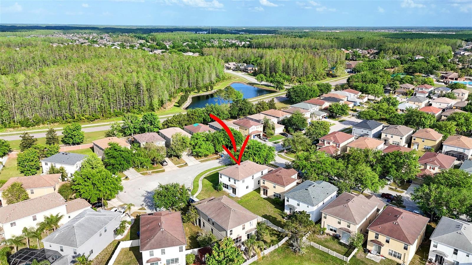 17545 BALMAHA DR, LAND O LAKES, FL, 34638