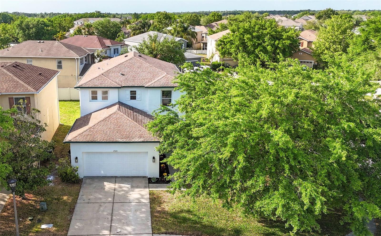 17545 BALMAHA DR, LAND O LAKES, FL, 34638