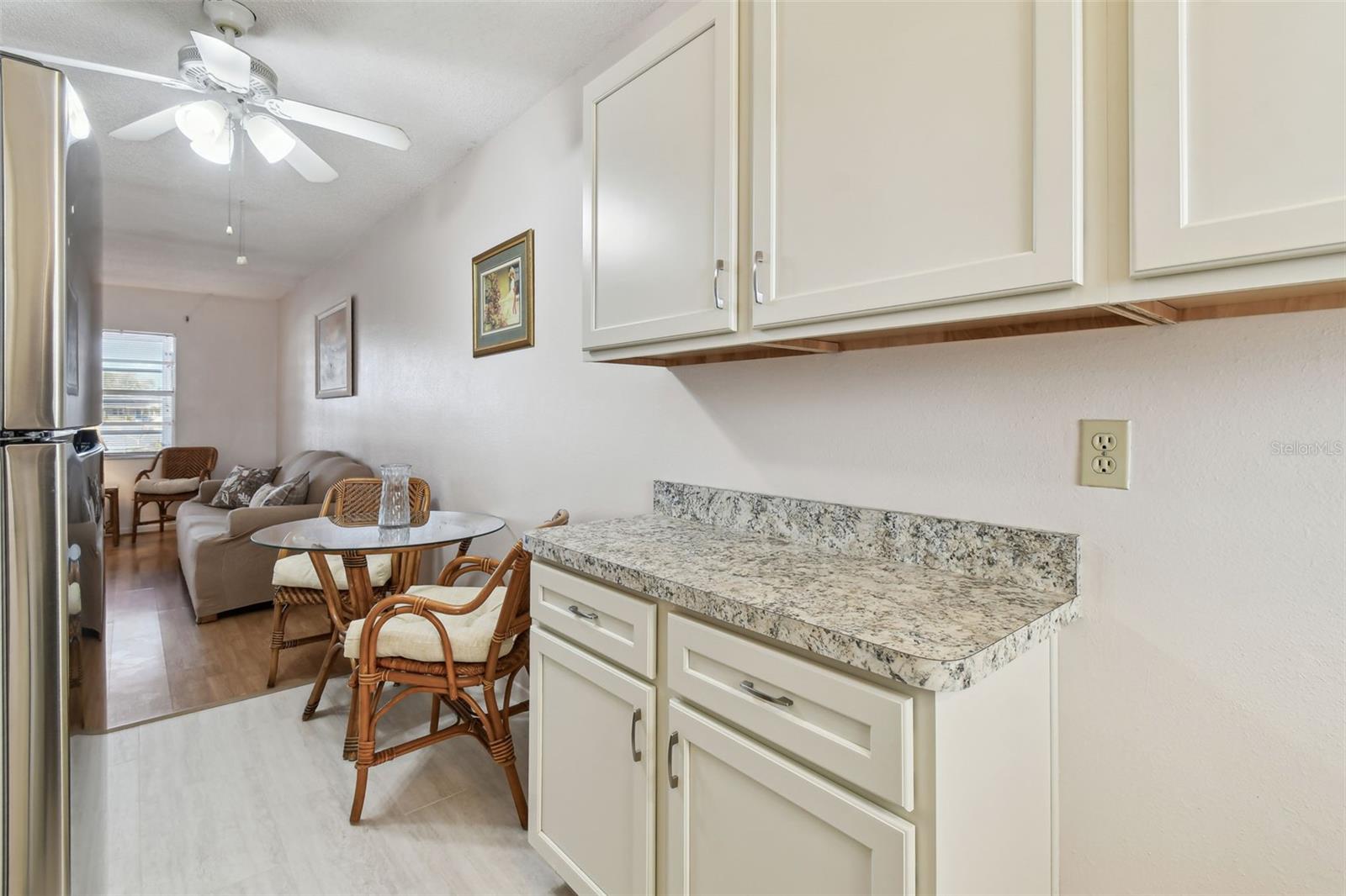 13940 ANONA HEIGHTS DR #40, LARGO, FL, 33774