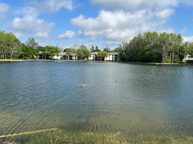 3232 LAKE PINE WAY E #G1, TARPON SPRINGS, FL, 34688