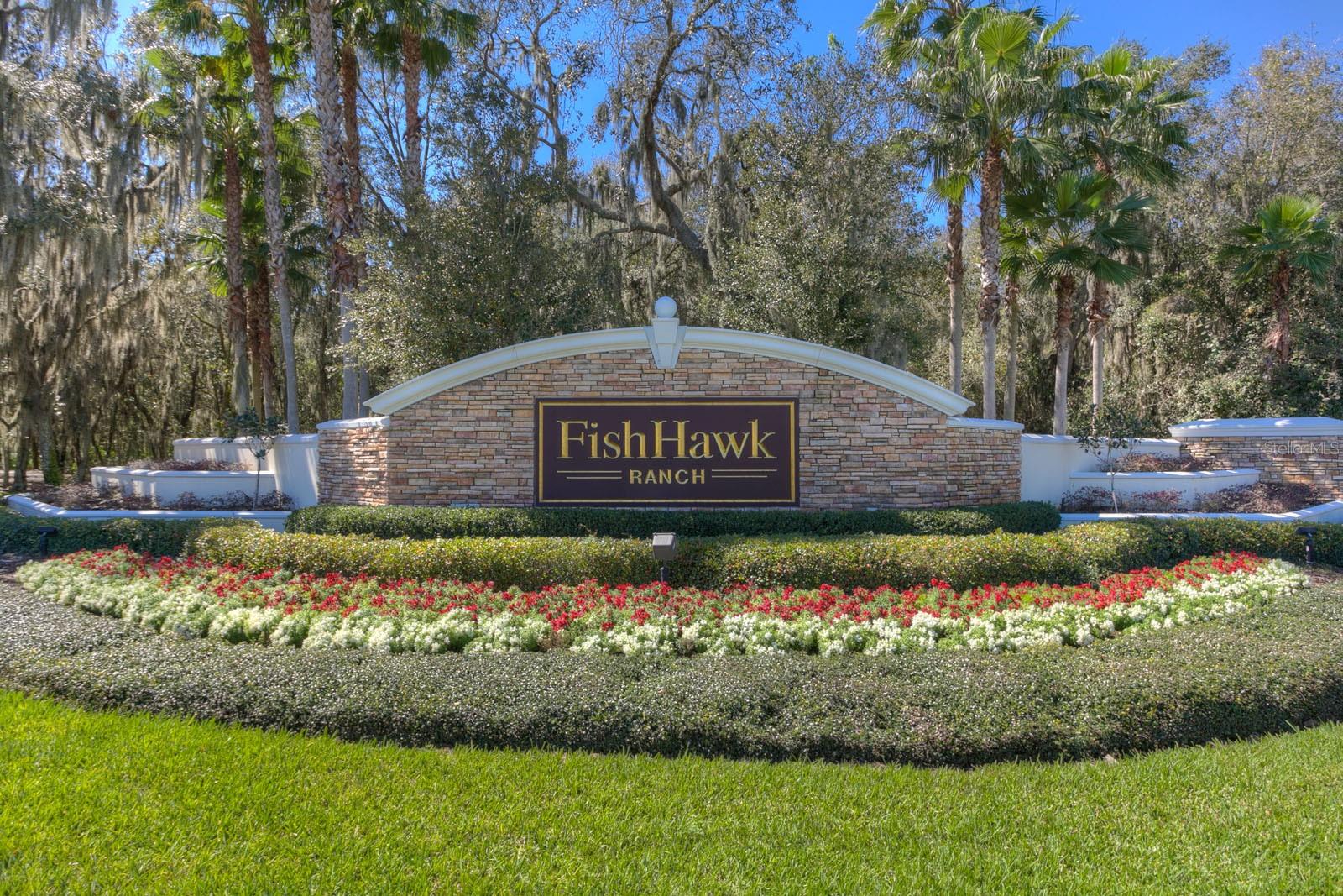 6205 IBISPARK DR, LITHIA, FL, 33547