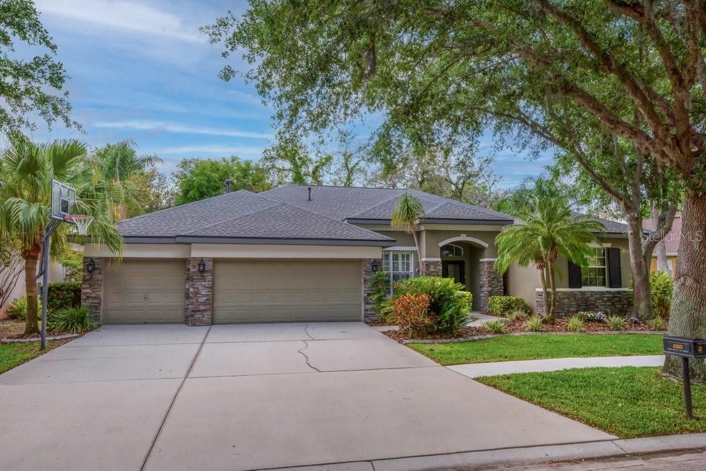 6205 IBISPARK DR, LITHIA, FL, 33547