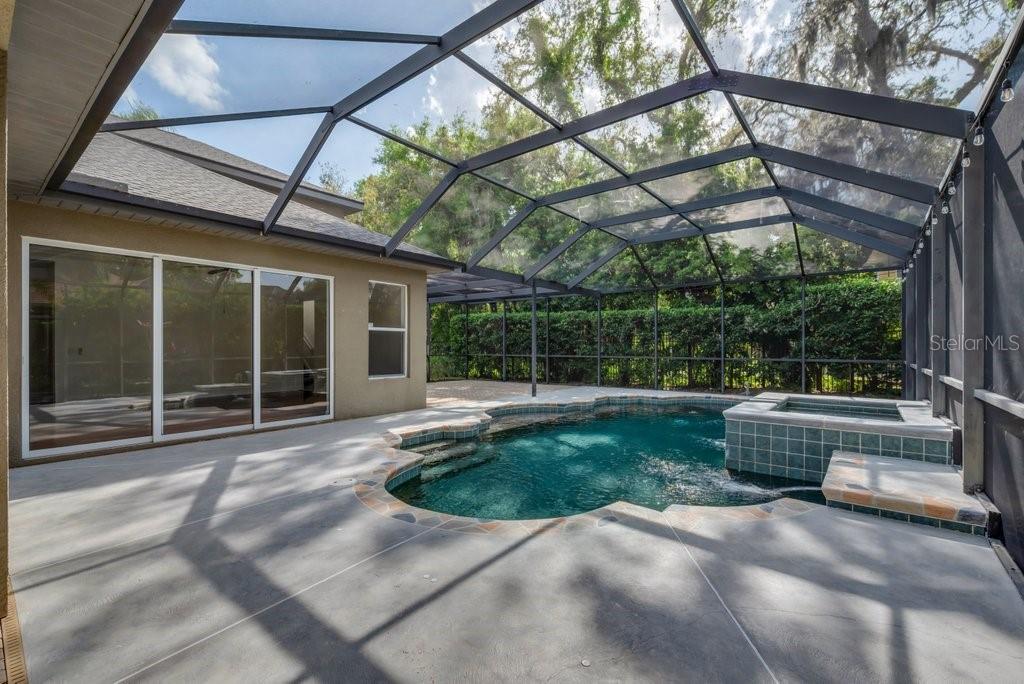 6205 IBISPARK DR, LITHIA, FL, 33547