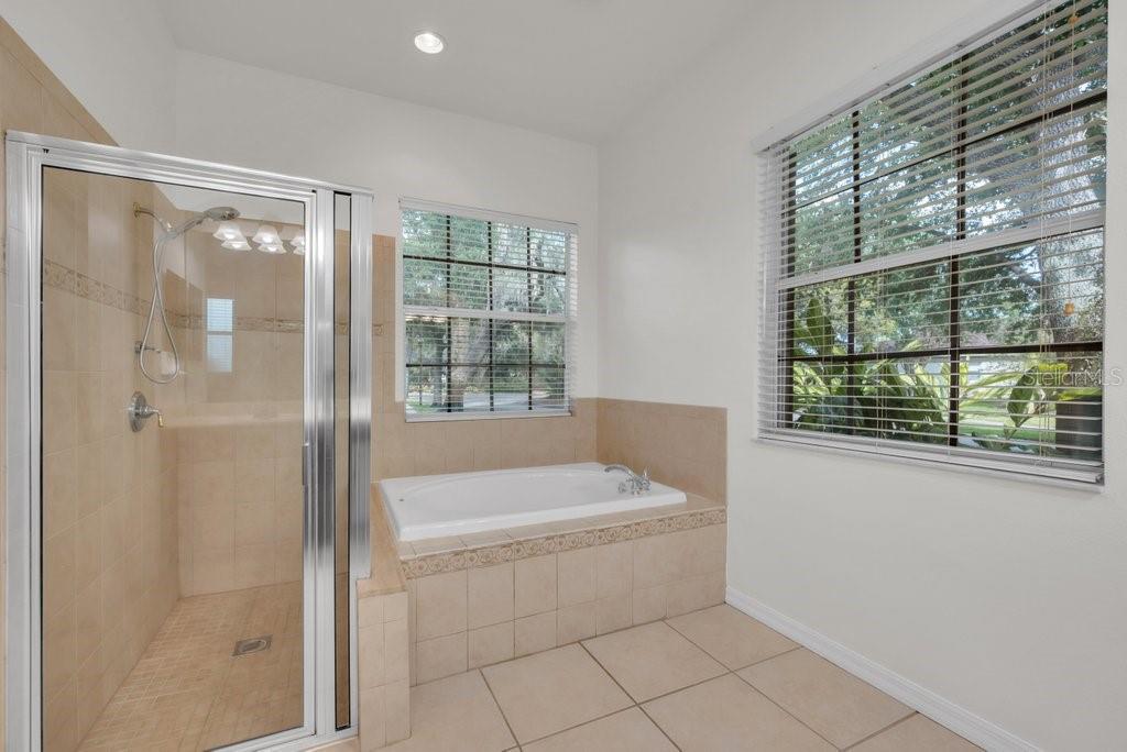 6205 IBISPARK DR, LITHIA, FL, 33547