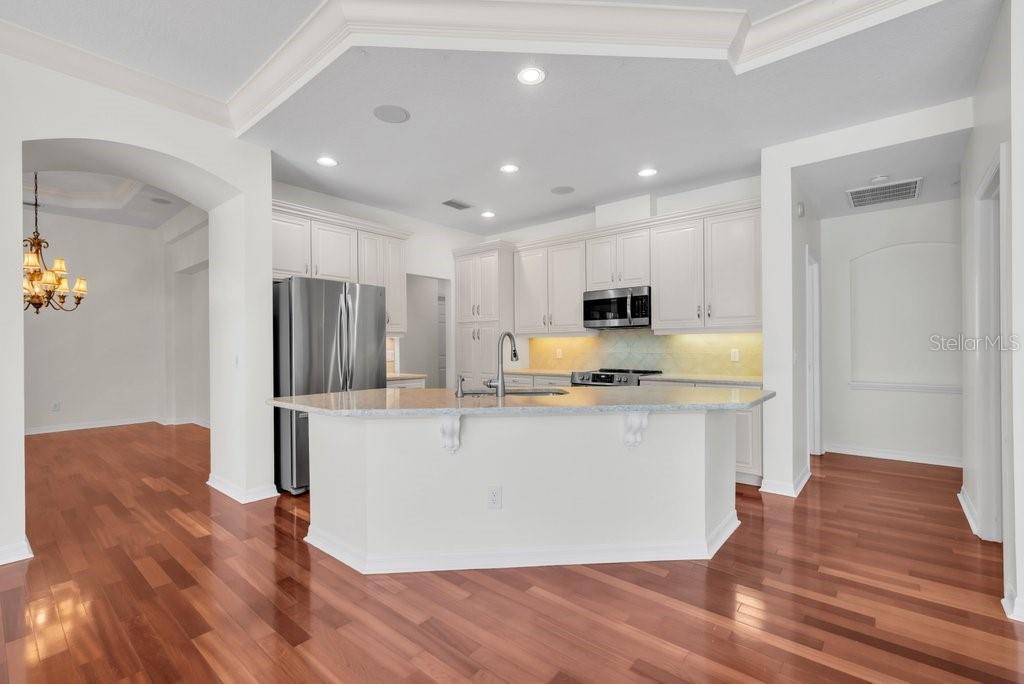 6205 IBISPARK DR, LITHIA, FL, 33547
