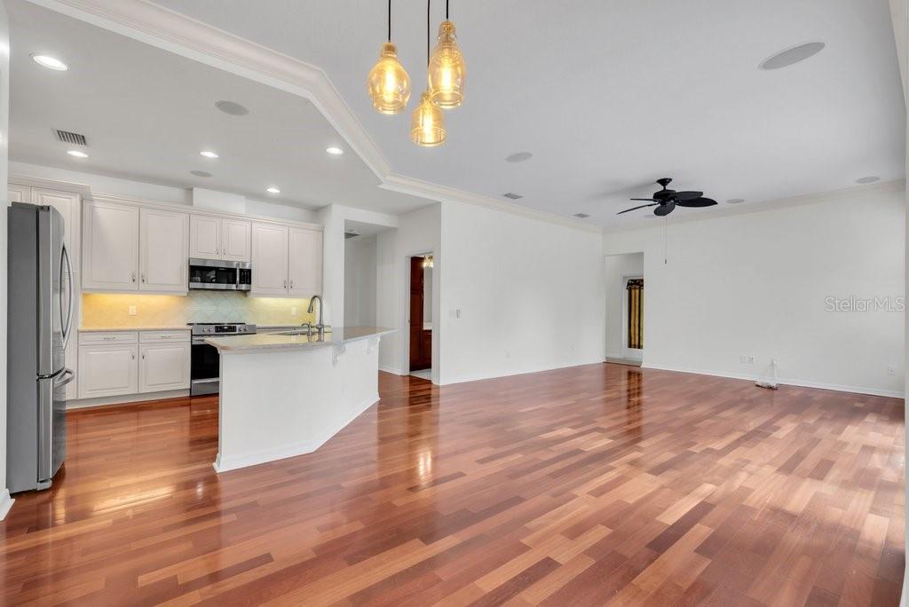 6205 IBISPARK DR, LITHIA, FL, 33547