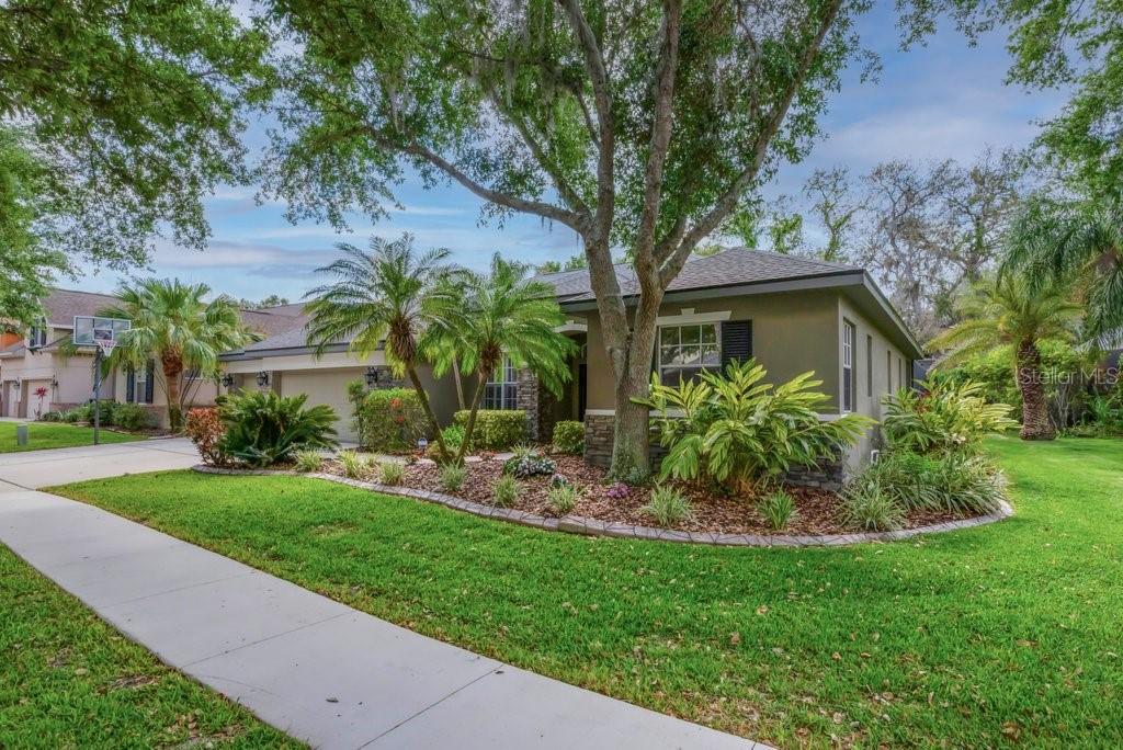 6205 IBISPARK DR, LITHIA, FL, 33547
