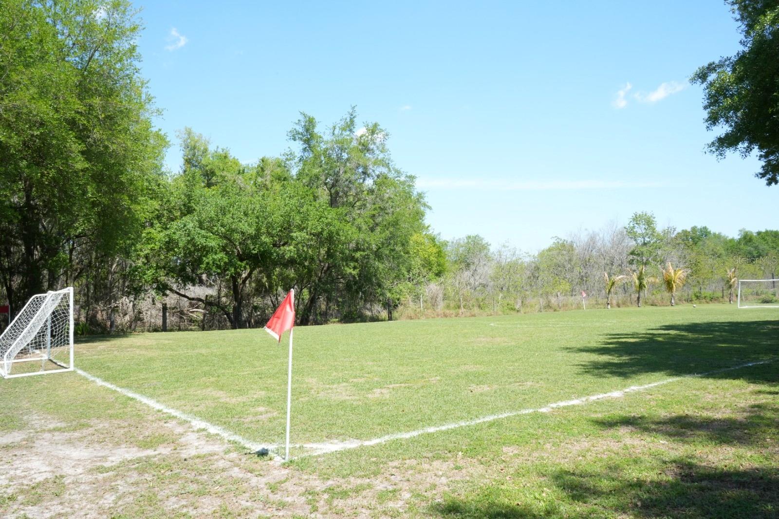 7040 LUMBERTON RD, ZEPHYRHILLS, FL, 33540