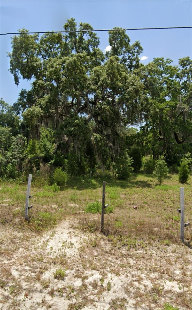 OLNEY LN, SPRING HILL, FL, 34610