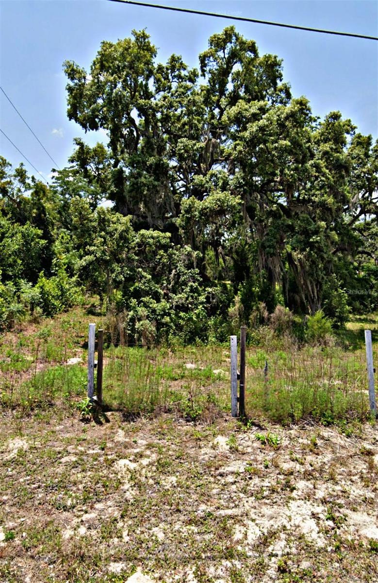 OLNEY LN, SPRING HILL, FL, 34610