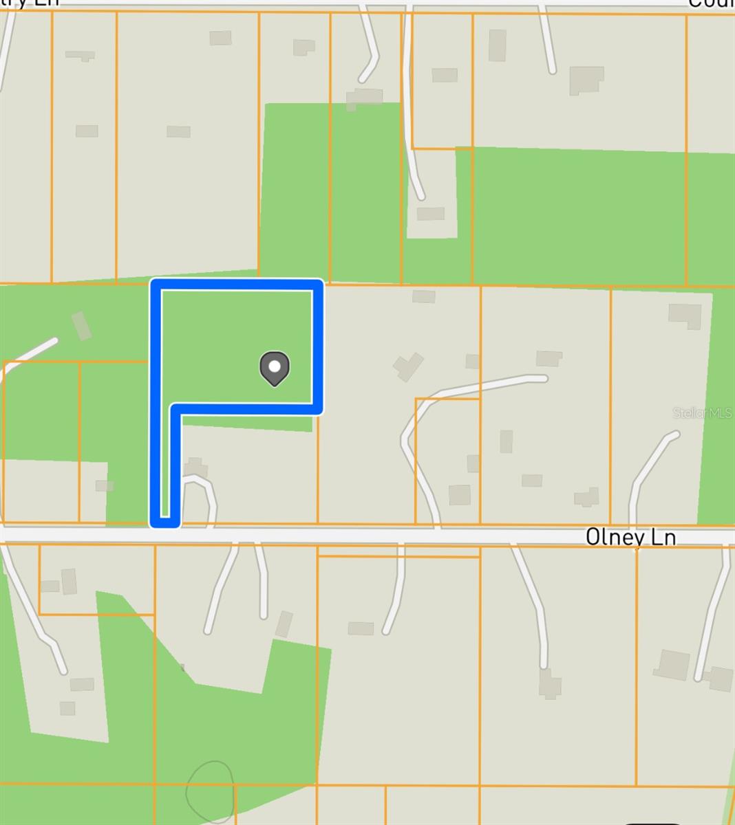 OLNEY LN, SPRING HILL, FL, 34610