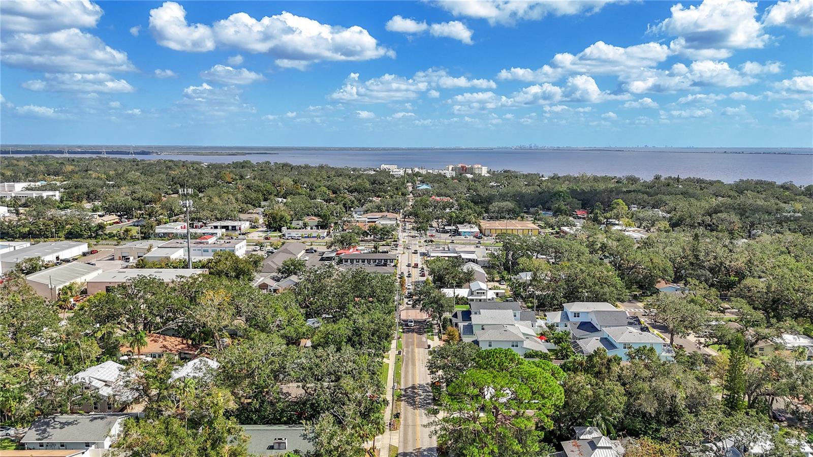 1005 MAIN ST, SAFETY HARBOR, FL, 34695