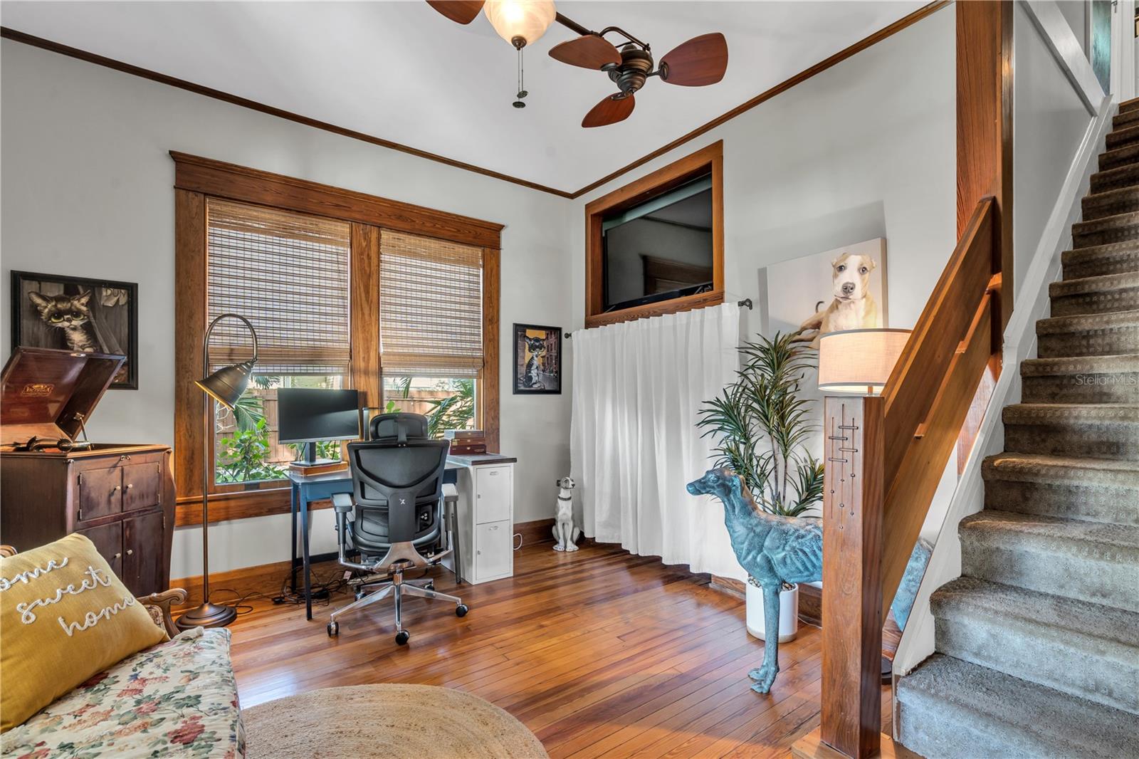 1005 MAIN ST, SAFETY HARBOR, FL, 34695