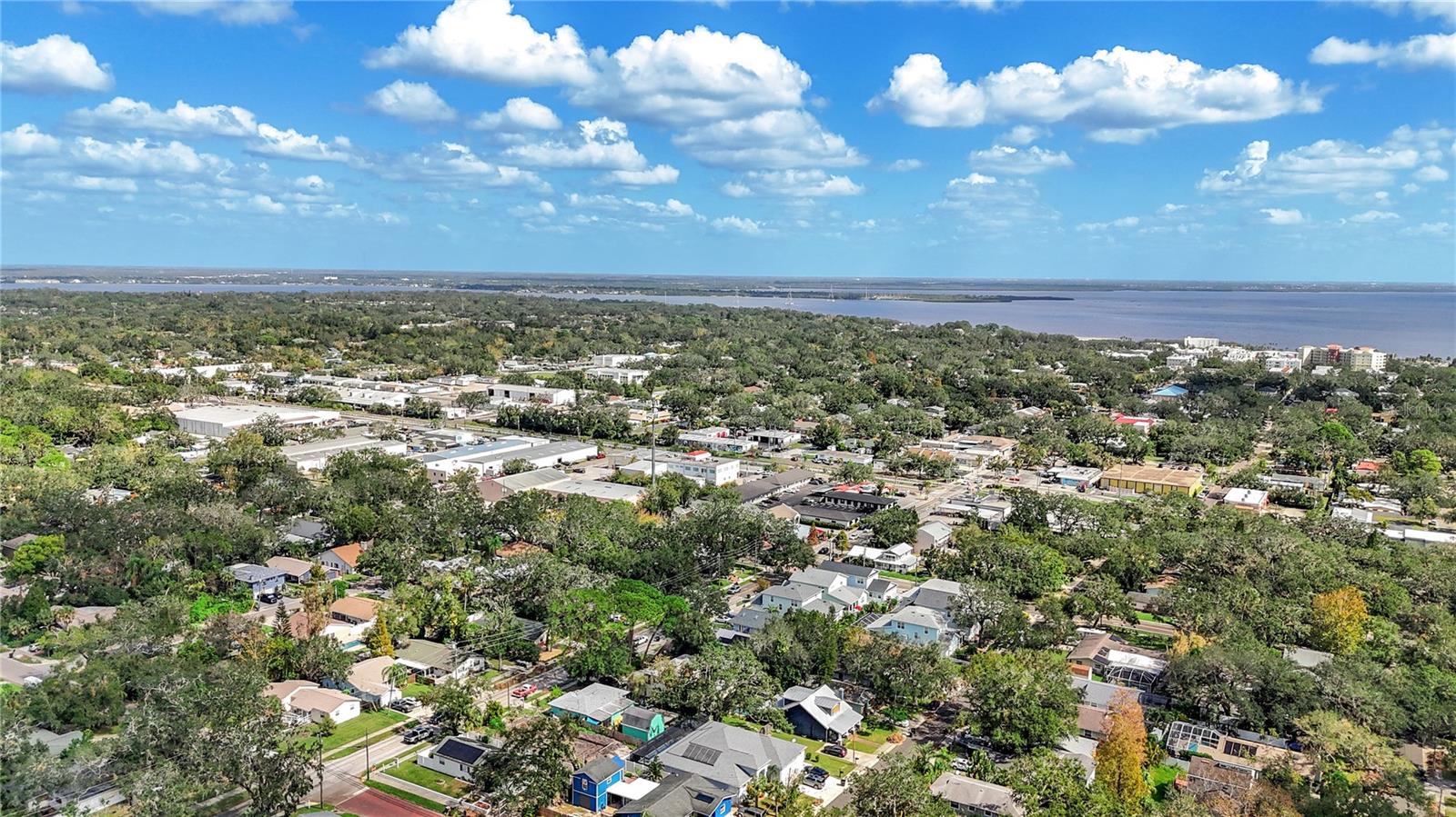 1005 MAIN ST, SAFETY HARBOR, FL, 34695