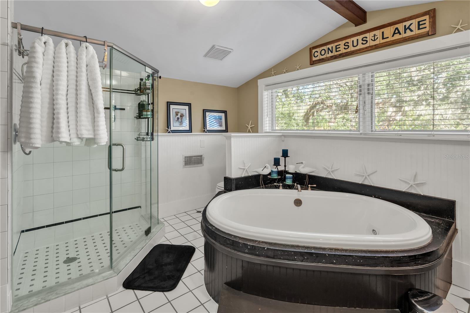 1005 MAIN ST, SAFETY HARBOR, FL, 34695