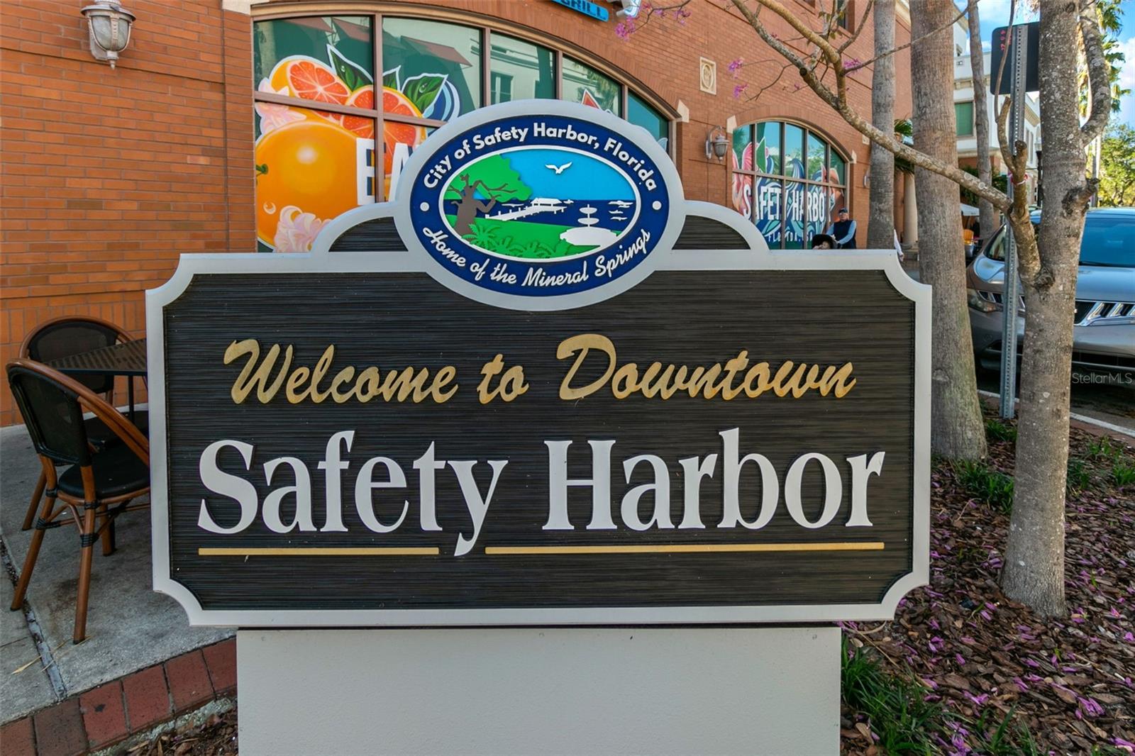 1005 MAIN ST, SAFETY HARBOR, FL, 34695