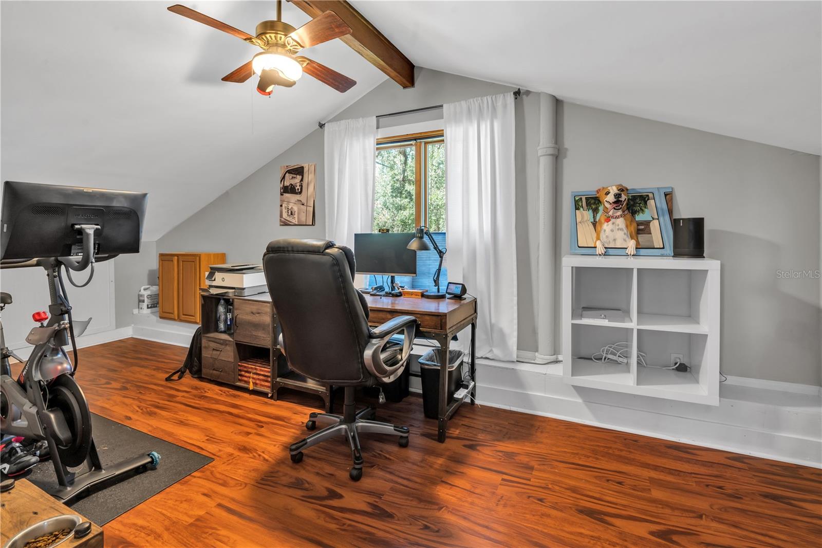 1005 MAIN ST, SAFETY HARBOR, FL, 34695