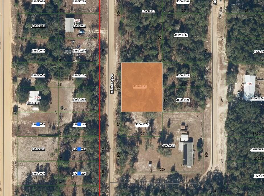 00 MALTAS AVE, INTERLACHEN, FL, 32148