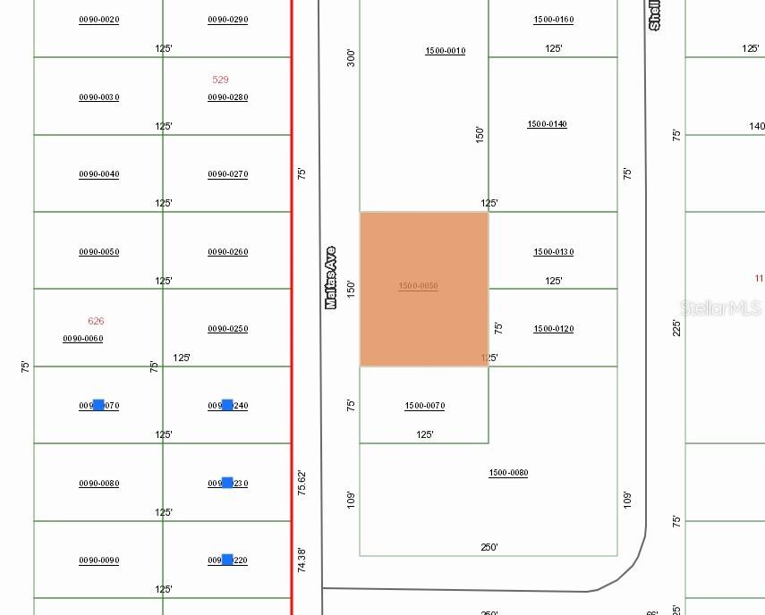 00 MALTAS AVE, INTERLACHEN, FL, 32148