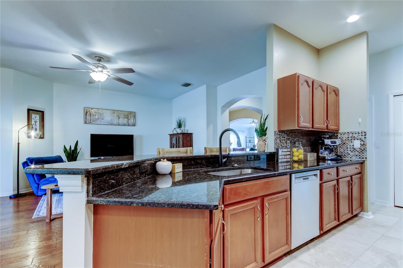 10357 ABBOTSFORD DR, TAMPA, FL, 33626