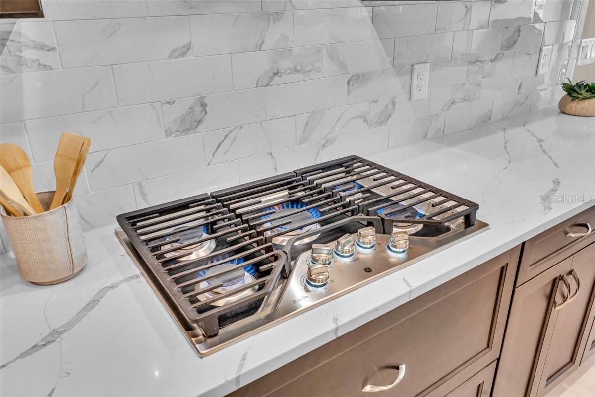 17502 SAVORY MIST CIR, BRADENTON, FL, 34211