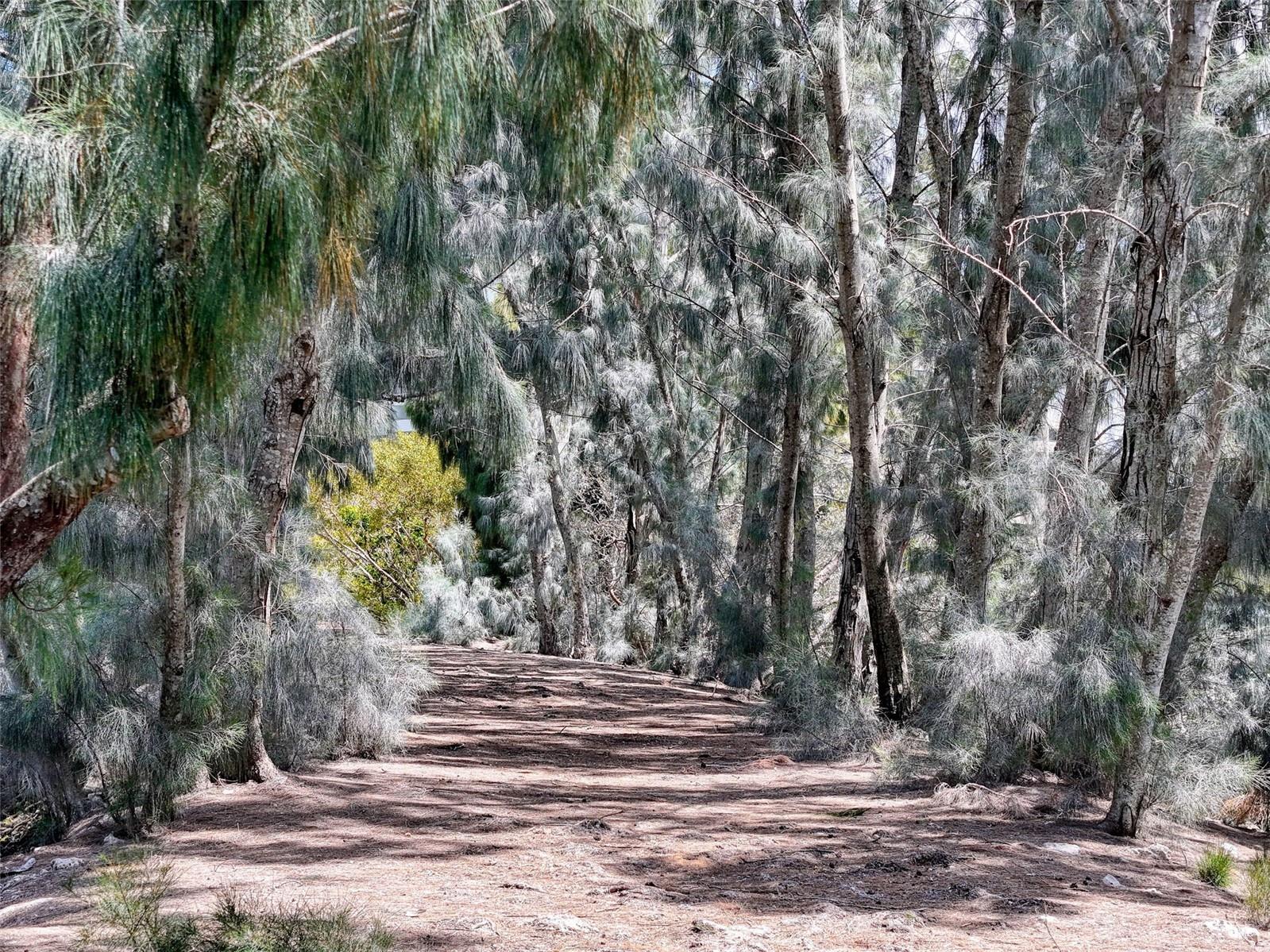 6009 SEA RANCH DR #315, HUDSON, FL, 34667