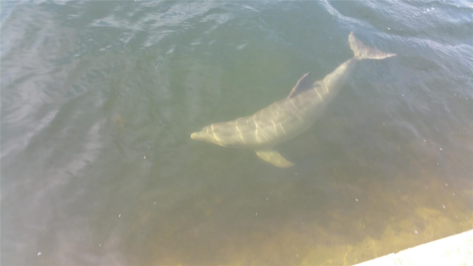 6009 SEA RANCH DR #315, HUDSON, FL, 34667